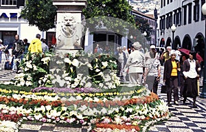 EUROPE PORTUGAL MADEIRA FUNCHAL FLOWERMARKET