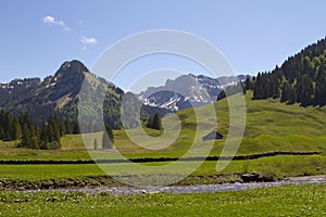 European Alps landscape with meadow on the front and mountains at the background