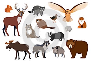 European and Canadian wild forest animals, set of isolated cartoon characters, vector illustration