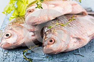 European carp with a thyme