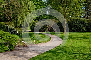 European city park. Path With Green Trees and Grass in Public Park. Beautiful Alley, road In Park