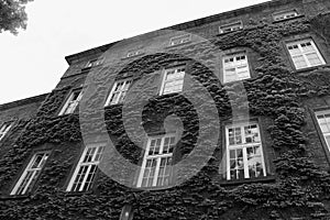 European classic building with squared windows bottom view in black and white.