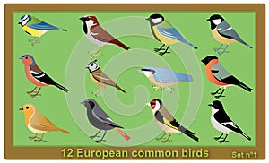 European common birds