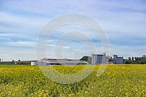 European countryside landscape. Farm and fields. Rural scenery, farmland