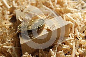 European currency. German 20 euro cent coin in a carpenter's workshop