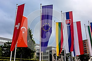 European flag and other flags