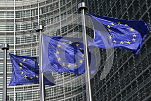 European flags in Brussels