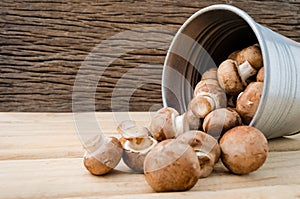 European food concept mushroom soup with champignon set up with brown background. Champignon mushroom or Button mushroom they are