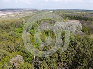 European forest, aerial view. Forest landscape in spring