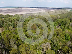 European forest, aerial view. Forest landscape in spring