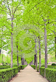 European formal garden