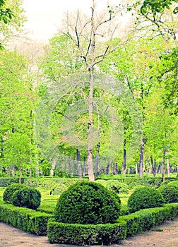 European formal garden