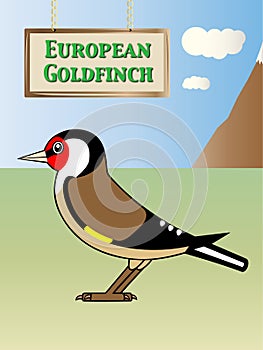 European Goldfinch