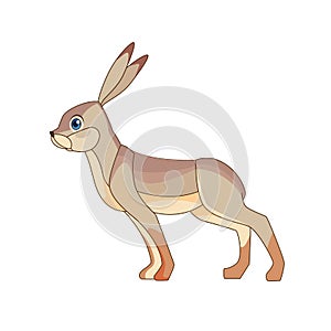 The European hare, also known as the brown hare, standing. Gray fluffy fur, long ears, big blue eyes. Scene from wild