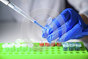 European health care professional working with Corona virus patient samples in a molecular biology laboratory wearing gloves as