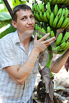 European man holds bunch of green growing bananas, banana plantation