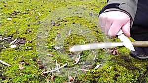 European man whittling a stick with a sharp knife in slow motion as outdoor adventure in a forest in winter hiking tour outdoors