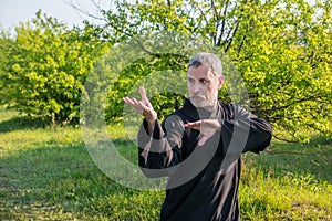 European master kung fu practicing qiqong taijiquan in the green park