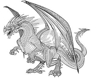 european medieval dragon. Graphic style black and white vector