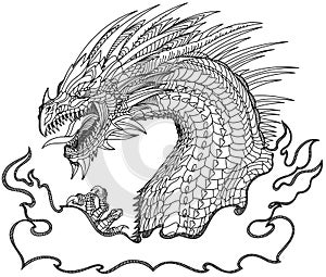 European medieval dragon head. Graphic style black and white vector