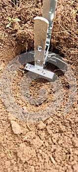 European mole Trap photo