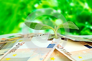 European money, green sprout on background