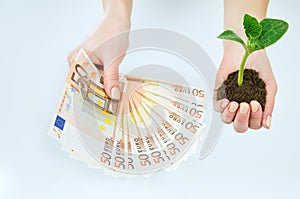 European money and a seedling in hands isolated