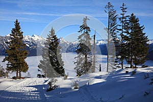 European Mountains in the Region Vorarlberg. Austria