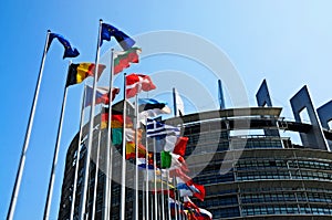 European parliament