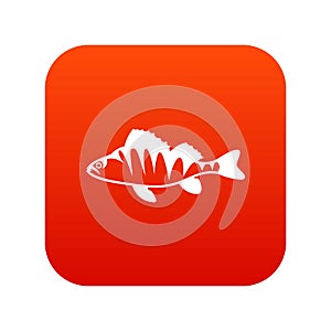 European perch, Perca fluviatilis icon digital red