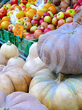 European Pumpkin and Fruit Market