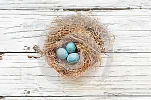 European Robin Eggs in a Real Nest