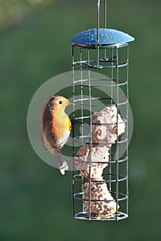 A European robin holding on to a metal birdfeeder
