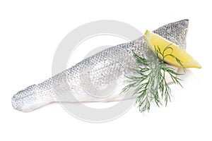 European Sea Bass