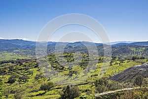 European spring landscape with Olives plants in Albania