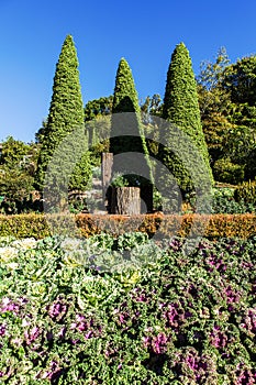 European-style garden Doi inthanon national park