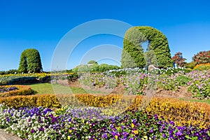 European-style garden Doi inthanon national park,