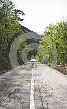 European traveler woman using smartphone taking pictures road countryside and natural on summer day. Traveler, holiday, vacation