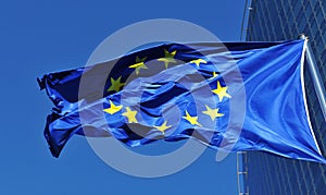 European Union flag