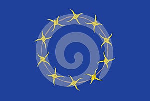 European Union Flag Alternative