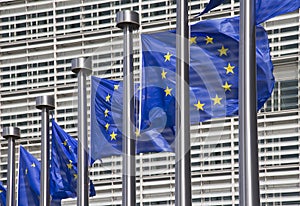 European Union Flags in Brussels