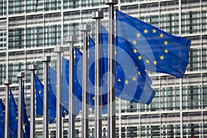 European Union flags in front of Berlaymont building, Brussels, Belgium photo