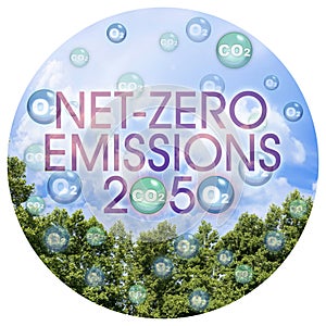 European Union sets new climate law: net-zero emissions are now a target for 2050 - Carbon Neutrality concept with CO2 and O2 photo