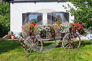 European vintage horse drawn wooden freight cart decorated with annual flowers