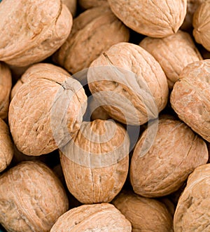 European walnuts background