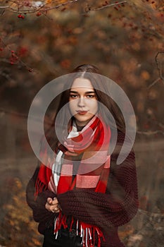 European young pretty woman in a fashionable knitted sweater with a stylish checkered scarf stands in nature among autumn dry
