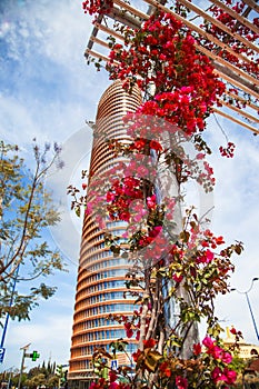 Eurostars Seville tower rising in clouds framed by flowers