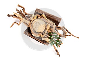 Eurycoma longifolia Jack,dried roots ,green leaves and powder isolated on white background.top view ,flat lay