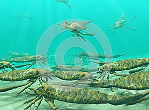 Eurypterids Gathering To Spawn