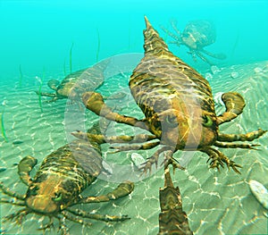 Eurypterids Swimming In A Pack photo